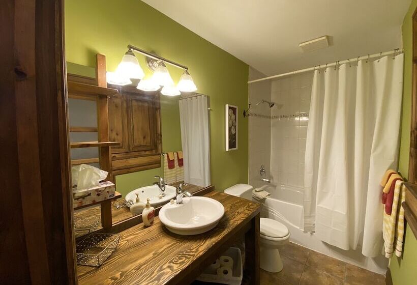 استودیوی استاندارد با تخت دوبل, Chalets & Studios Le Vent Du Nord