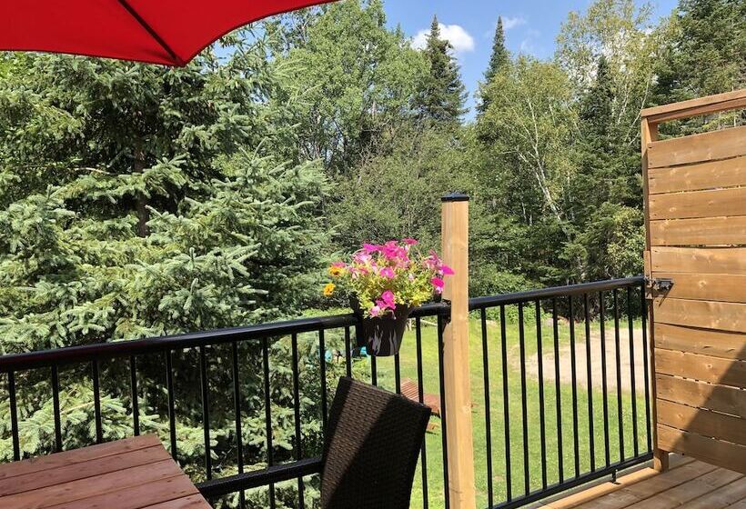 استودیوی استاندارد با تخت دوبل, Chalets & Studios Le Vent Du Nord