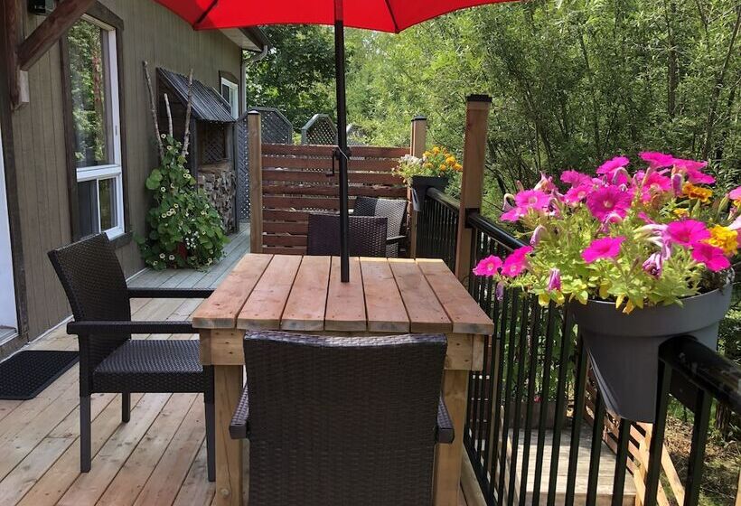 استودیوی استاندارد با تخت دوبل, Chalets & Studios Le Vent Du Nord