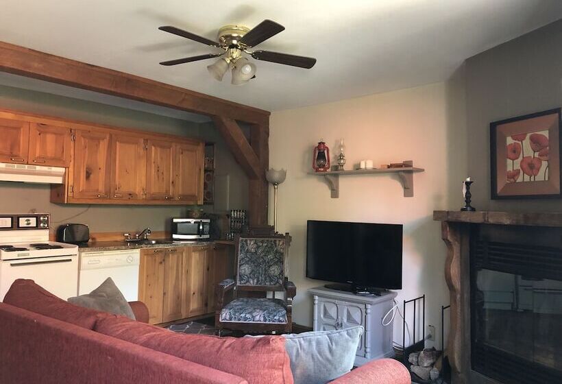 استودیوی استاندارد با تخت دوبل, Chalets & Studios Le Vent Du Nord