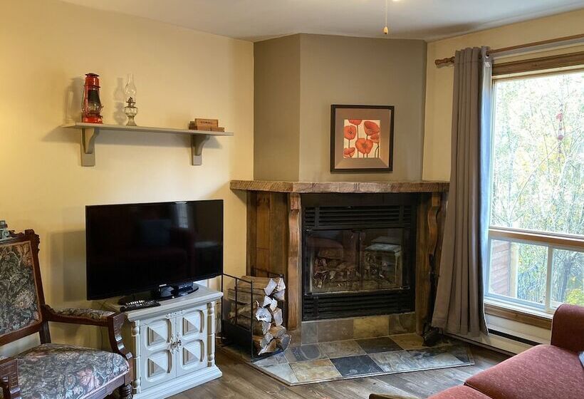 استودیوی استاندارد با تخت دوبل, Chalets & Studios Le Vent Du Nord