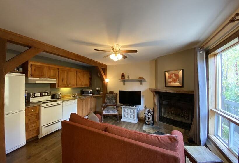 استودیوی استاندارد با تخت دوبل, Chalets & Studios Le Vent Du Nord