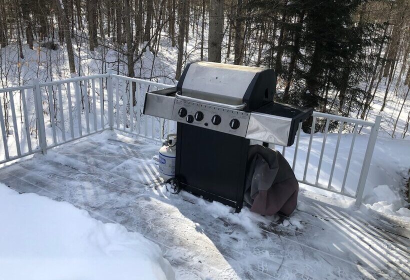 کلبه ییلاقی, Chalets & Studios Le Vent Du Nord