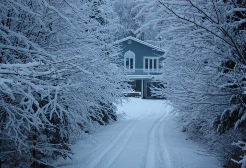 کلبه ییلاقی, Chalets & Studios Le Vent Du Nord