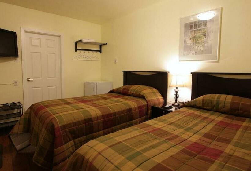 스탠다드 싱글 룸, Cherry Tree Inn Victoria