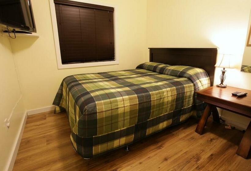 스탠다드 싱글 룸, Cherry Tree Inn Victoria