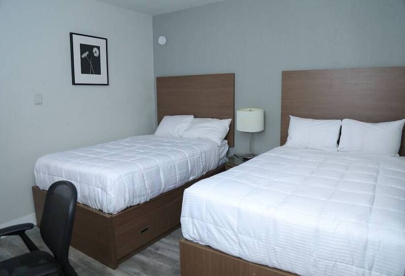 豪华房间, Fraser Inn