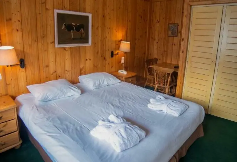 Superior Room with Terrace, Hôtel Arbois Bettex
