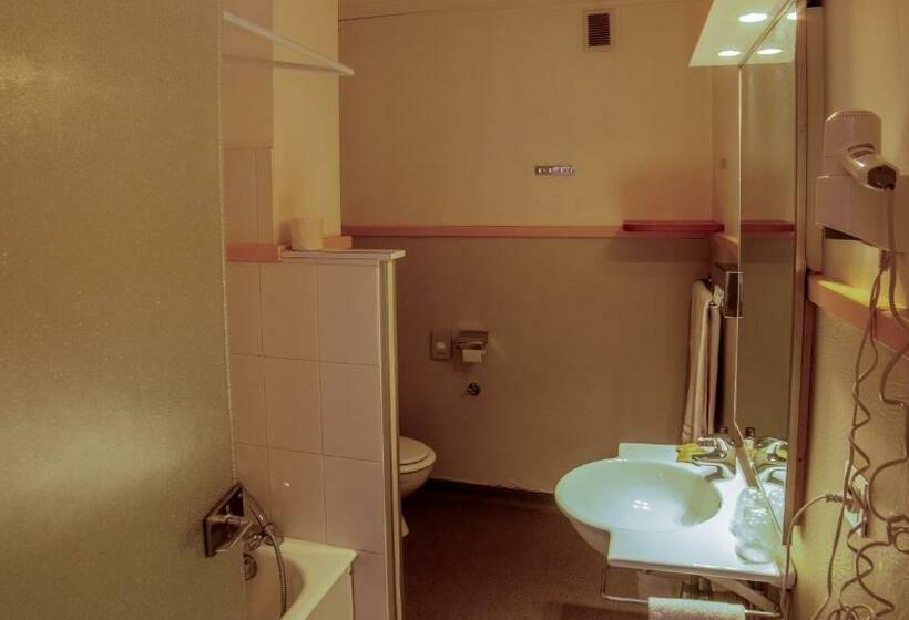 Номер Superior с Террасой, Hôtel Arbois Bettex