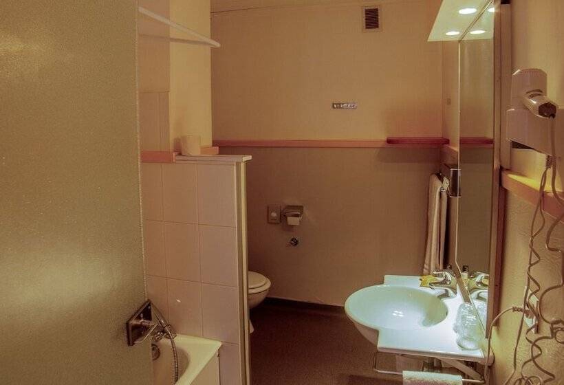 シングルデラックスルーム, Hôtel Arbois Bettex