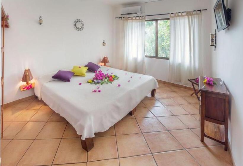 标准房带园景, Laguna Del Cocodrilo