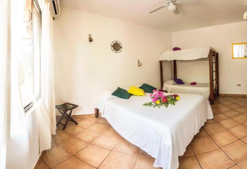 标准间, Laguna Del Cocodrilo