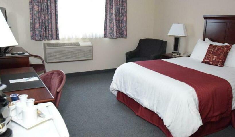 חדר סטנדרט יחיד מותאם לאדם עם מוגבלויות, Lakeland Inn