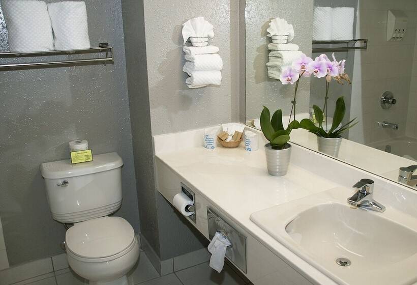 סטודיו אקזקיוטיב, Lakeland Inn