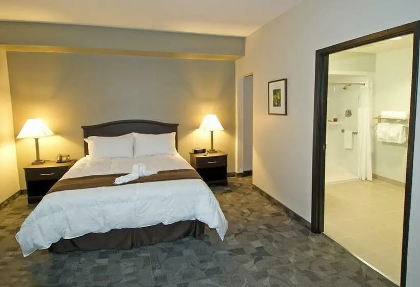 身障者適用スタンダードルーム, Midland Inn & Suites