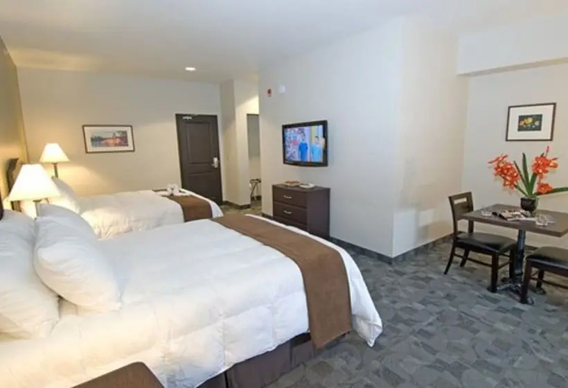 スタンダードルーム, Midland Inn & Suites