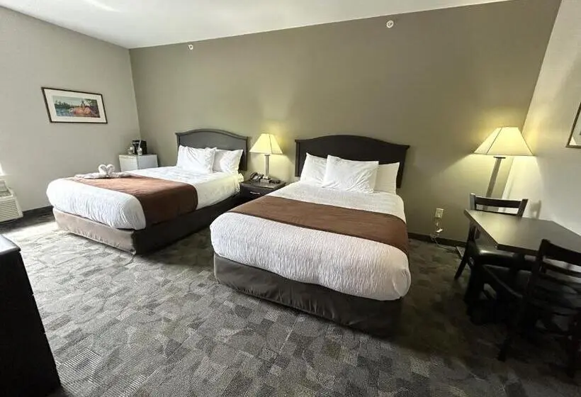 スタンダードルーム, Midland Inn & Suites