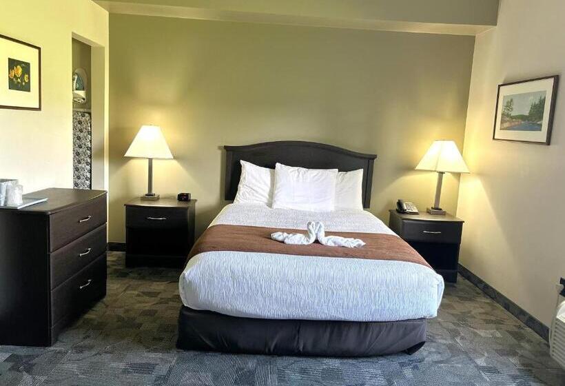 غرفة قياسية لذوى الاحتياجات الخاصة, Midland Inn & Suites