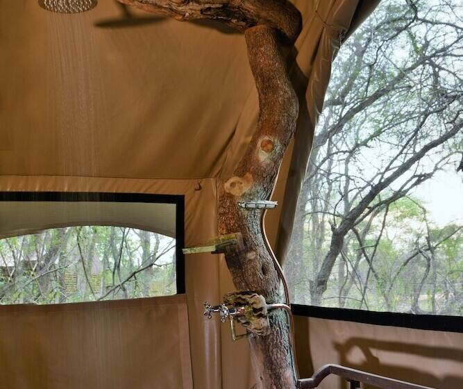 Deluxe Tent, Rhino Walking Safaris