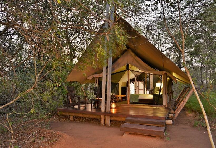 Deluxe Tent, Rhino Walking Safaris