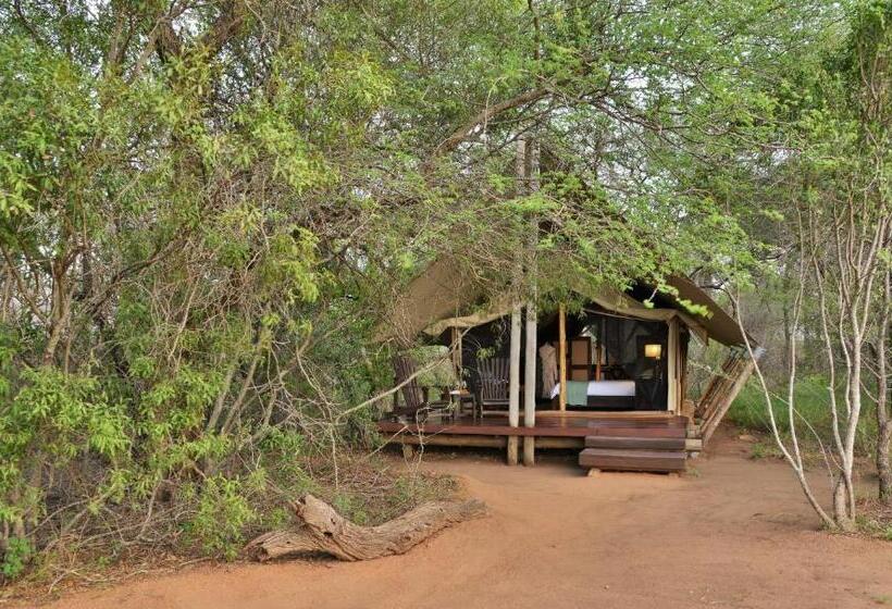 چادر با خدمات رفاهی لوکس, Rhino Walking Safaris