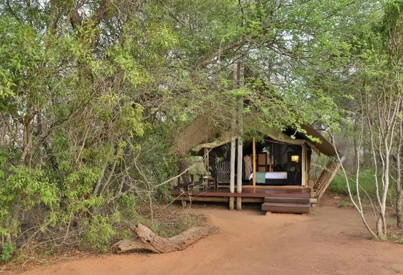 چادر با خدمات رفاهی لوکس, Rhino Walking Safaris