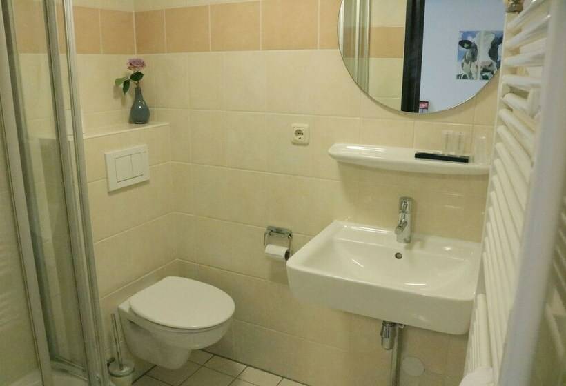 Номер Стандарт Индивидуальный, Stadshotel Rijssen