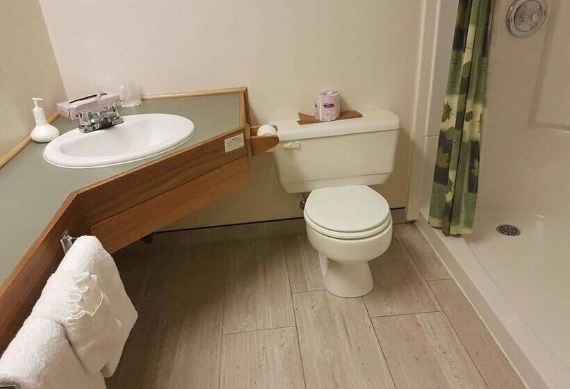 Standard Værelse Søudsigt, Westwind Inn On The Lake