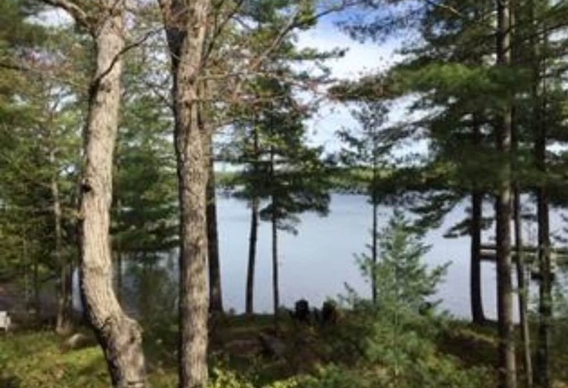 Standard Værelse Søudsigt, Westwind Inn On The Lake