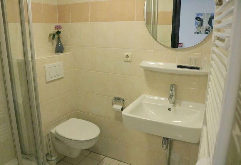 اتاق استاندارد یک نفره, Stadshotel Rijssen