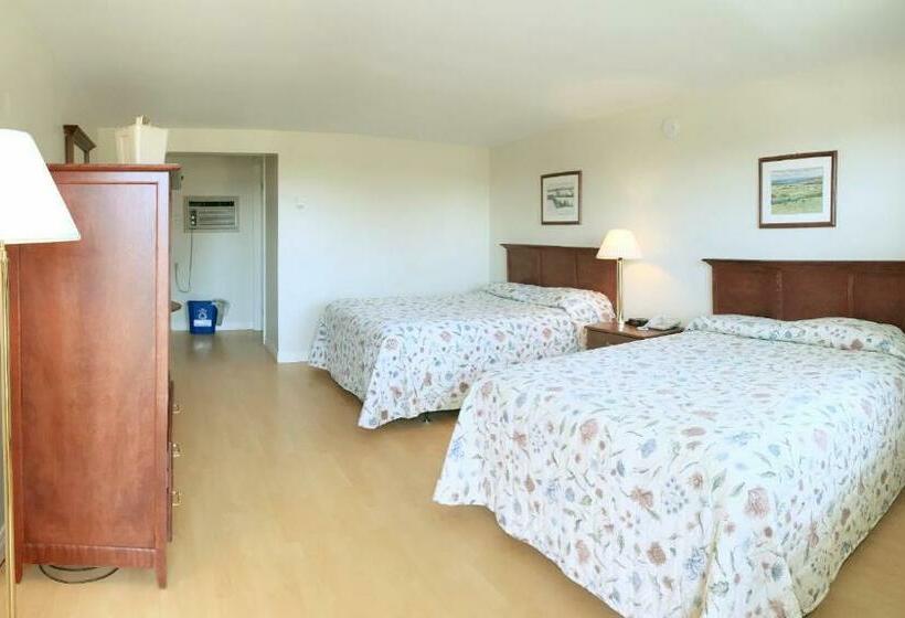 标准间, The Cavendish Motel