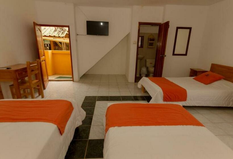 Семейный Номер, Tuzco Lodge