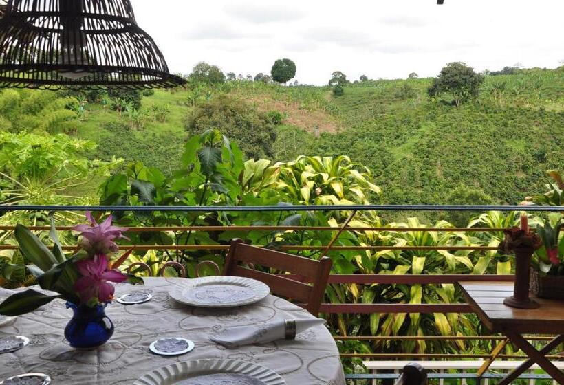 Négyágyas Standard Szoba, Finca Machangara