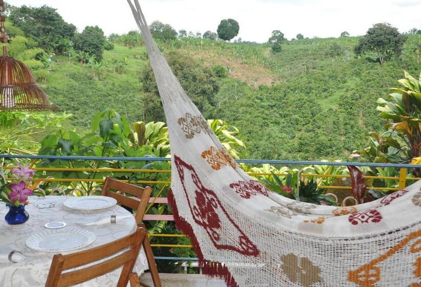 Négyágyas Standard Szoba, Finca Machangara