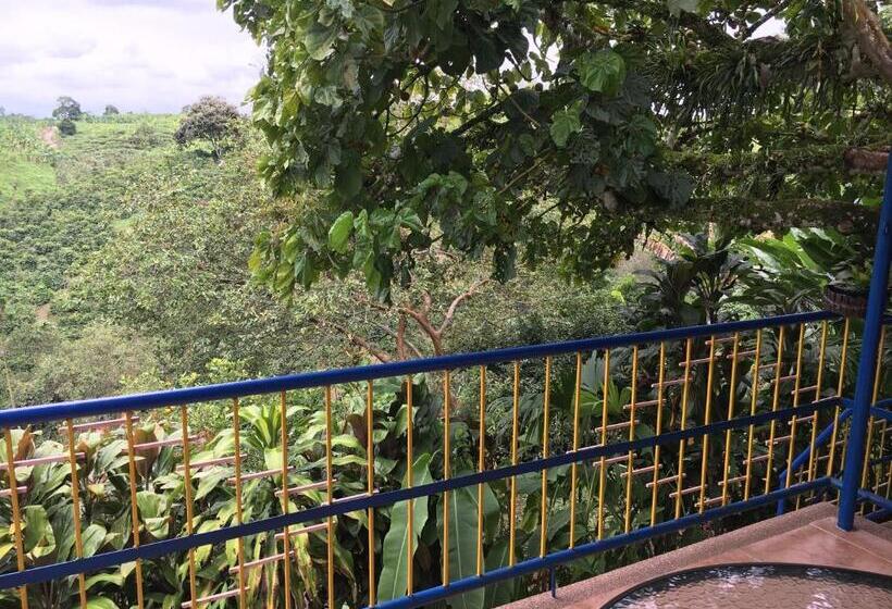 Családi Szoba, Finca Machangara