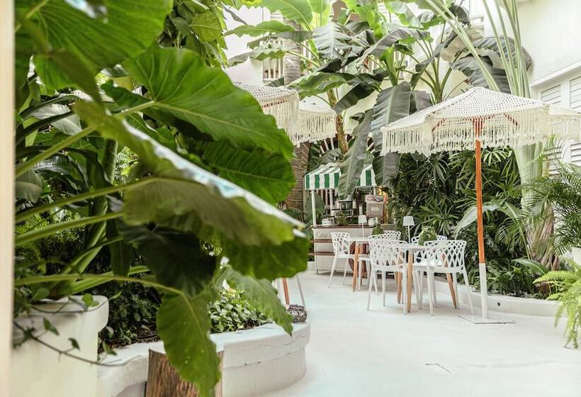 اتاق لوکس, Casa Diluca Cartagena Hotel Boutique