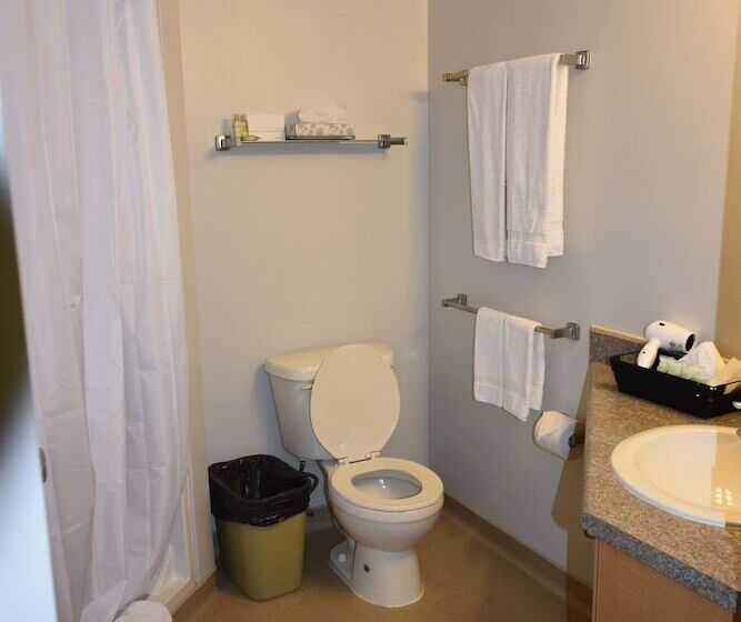 جناح غرفتين نوم, Residence & Conference Centre   London