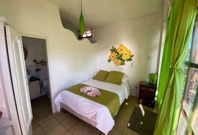 Standard Yhden Hengen Huone, Miconia