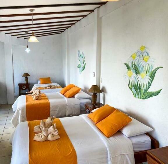 스탠다드 트리플 룸, Miconia