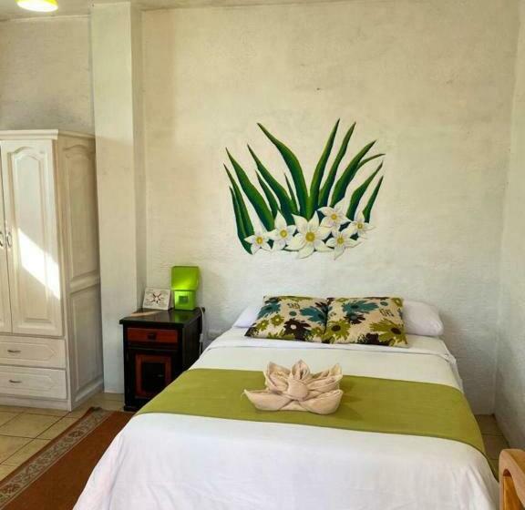 스탠다드 룸, Miconia