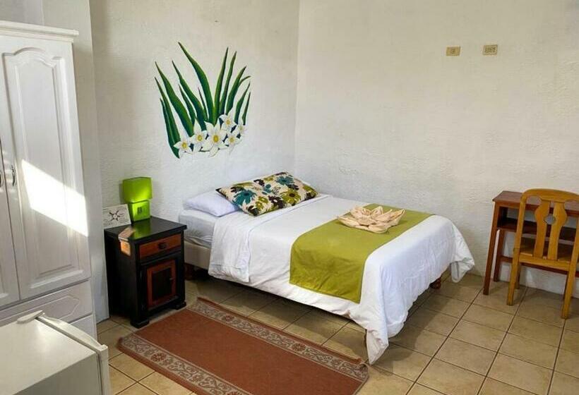 스탠다드 룸, Miconia