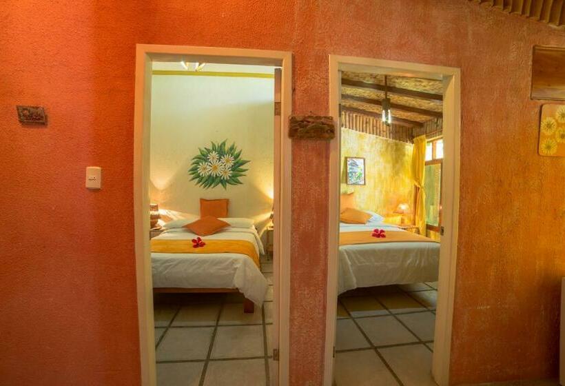 스탠다드 룸, Miconia