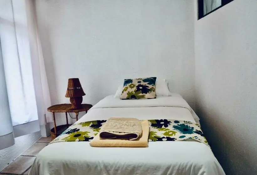 Standard-huone, Miconia