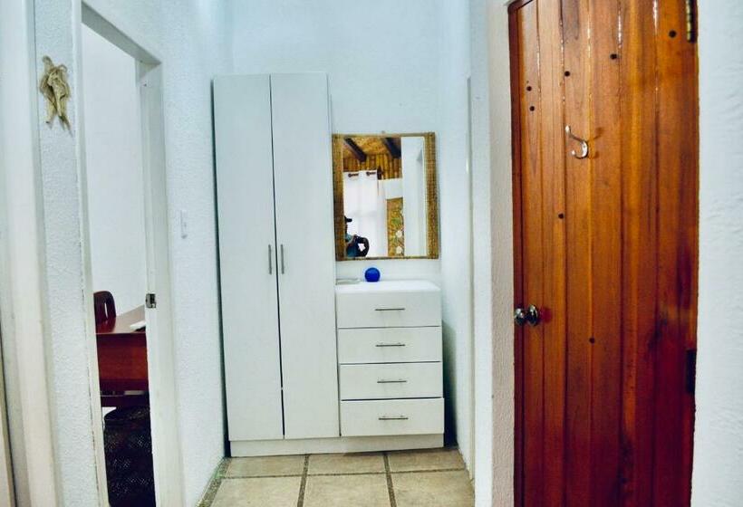 스탠다드 룸, Miconia