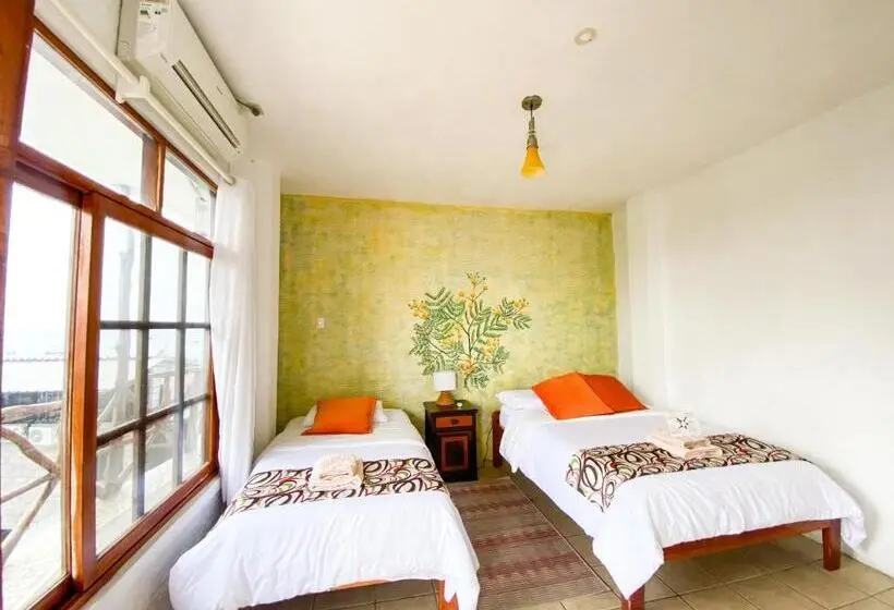 Standard-huone, Miconia