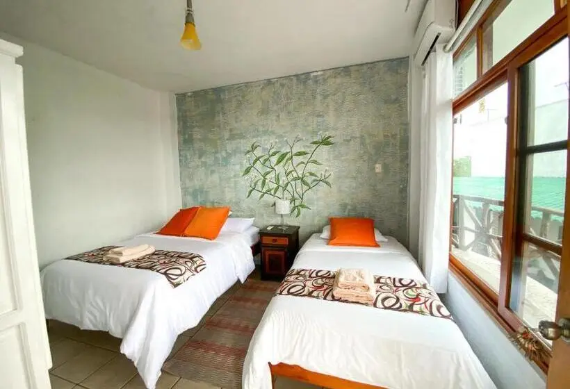 Standard-huone, Miconia