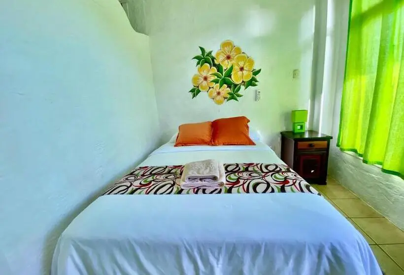 Standard-huone, Miconia