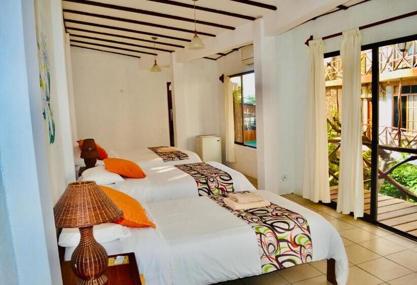 Quarto Triplo Estandar, Miconia