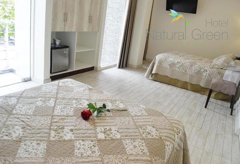 수피리어 룸, Natural Green Lounge