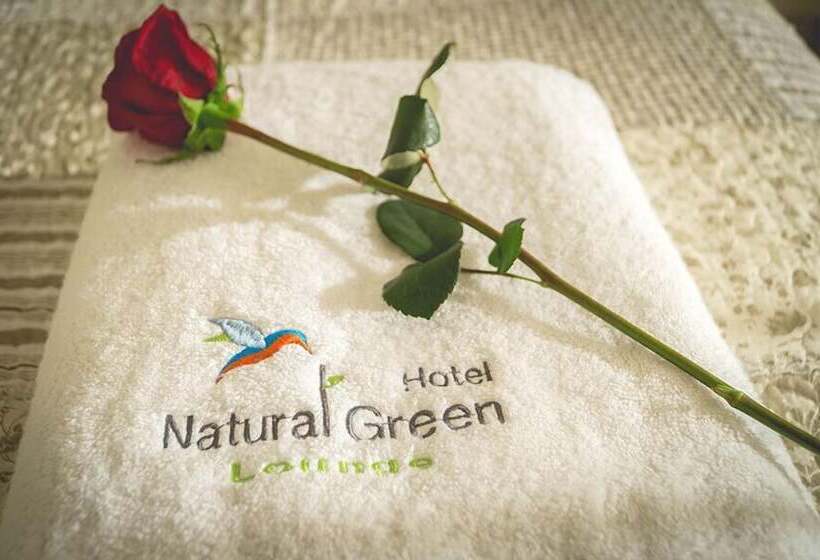 수피리어 룸, Natural Green Lounge